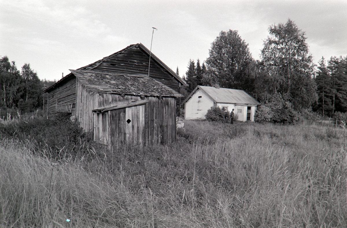 Pershagen, husmannsplass under Storihle, Furnes. Perhagelåven gjenreist på Domkirkeodden 1974.