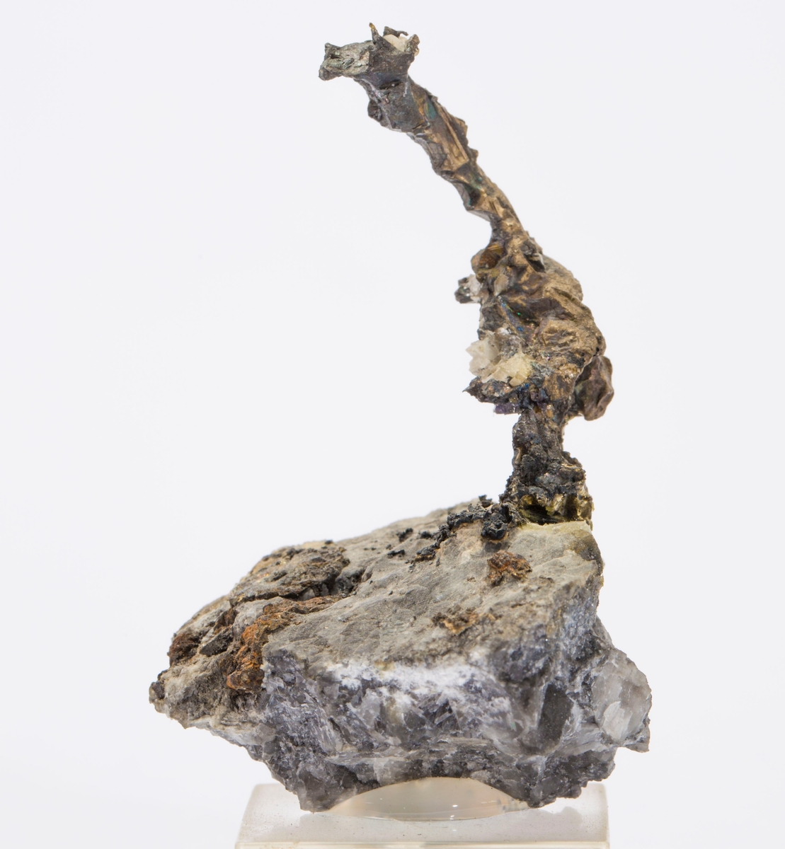 Delvis krystallinsk sølv på kalsitt
Gottes Hülfe gruve, 100 m
Vekt: 39,90 g (med sokkel)