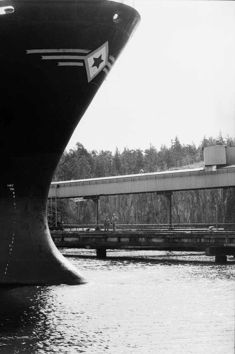 Malmfartyget Bijelo Polje angör kajen, några av Dannemora Gruvor AB:s anställda står beredda att ta emot angöringstrossen, Hargshamn, Harg, Uppland augusti 1991