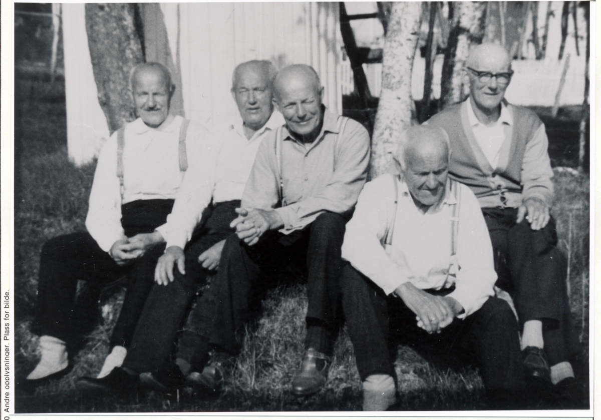 Fem brødre Arnesen fra Elvejord i Torsken ca 1960.