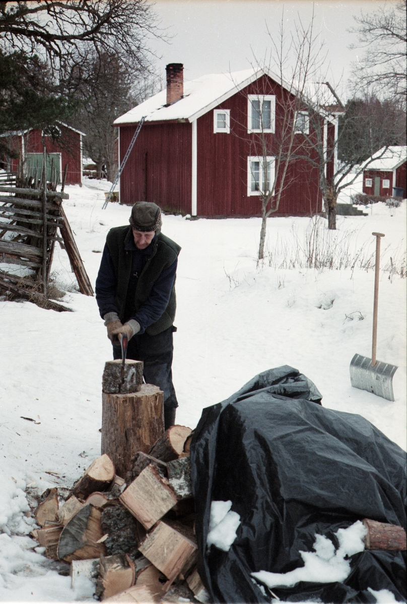 Lantbrukare Arvid Mattsson klyver ved, Lönnholmen, Gräsö socken, Uppland 1994 - 1995