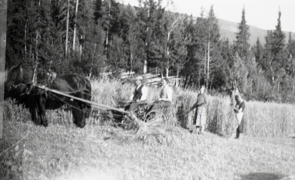 I skurdonna på nørdre Onstad (35/2) Ca. 1930.