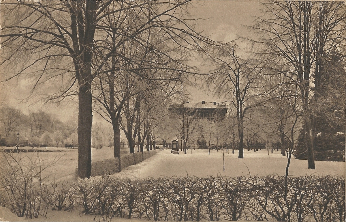 Vykort från  Linköping Järnvägsparken 
Järnvägsavenyn, Järnvägsparken, Sankt Larsgatan ,  Vasavägen, 
26 september 1909
Knackstadt & Nächer Hamburg
