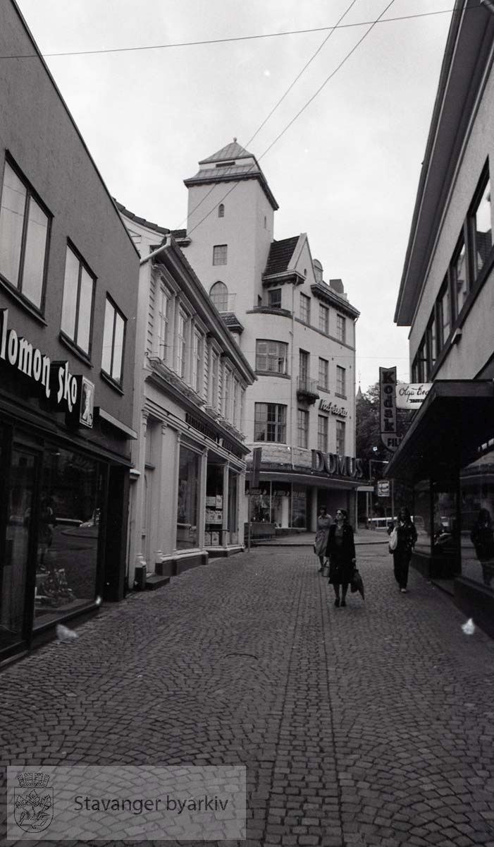 Domus