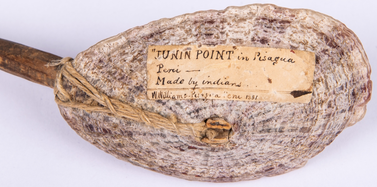Sked gjod av halv mussla och träskaft.
Enligt påskrift "Junin Point in Pisagua, Peru. Made by Indians. W. Williams, Pisagua, Peru 1881."