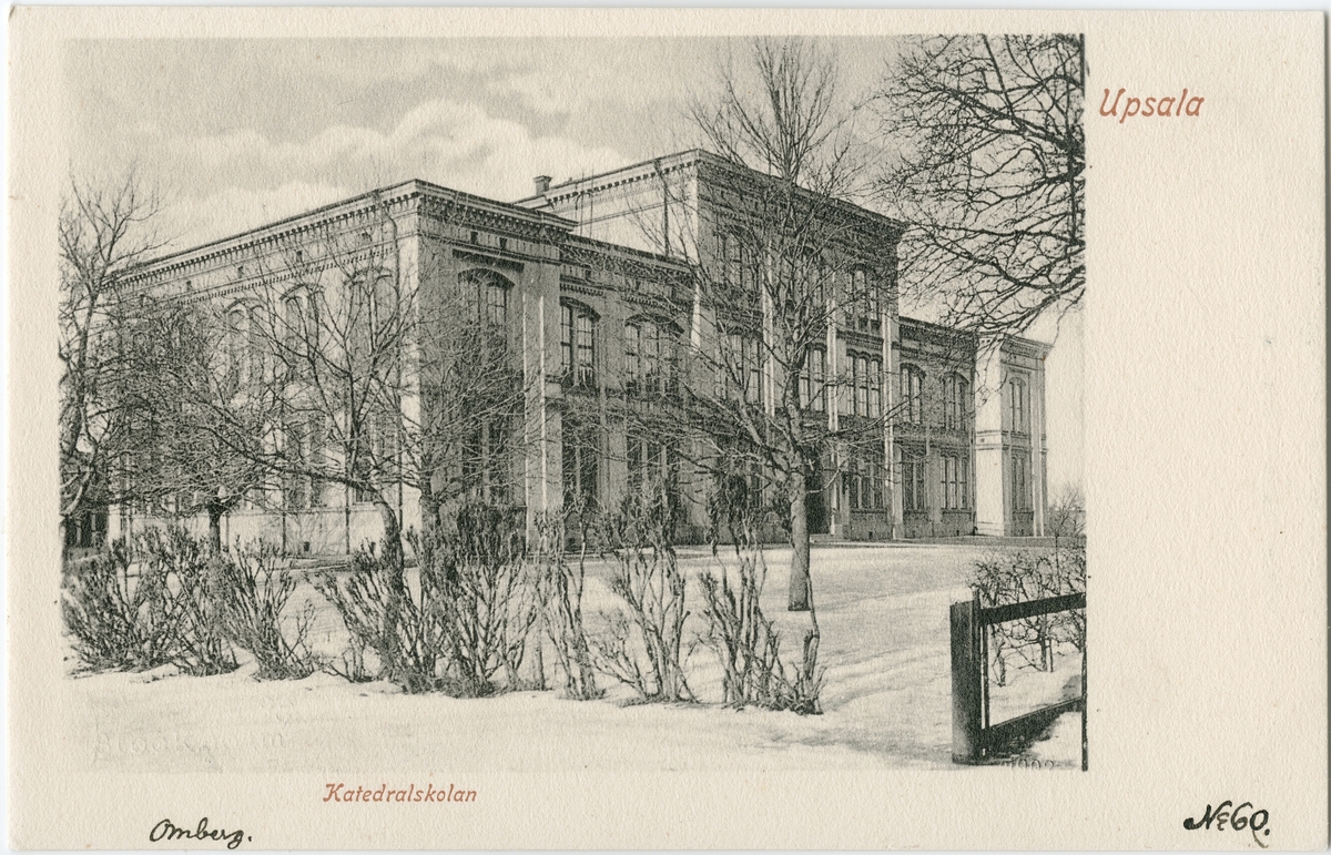 Vykort - Högre Allmänna Läroverket, kvarteret Skolan, Uppsala omkring 1900