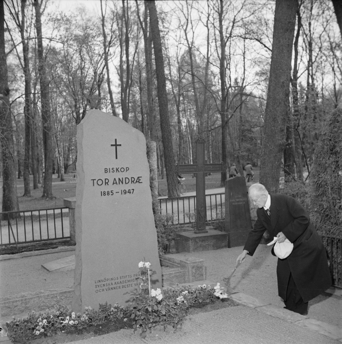 En äldre man med studentmössa lägger blommor på biskop Tor Andraes grav på Uppsala gamla kyrkogård, Östgöta nations minneslandskap, Uppsala 1949