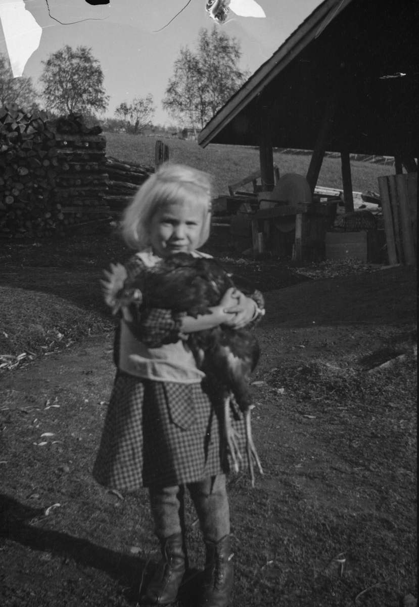Liten jente med en hane, antakelig på Linjordet i Østre Gausdal