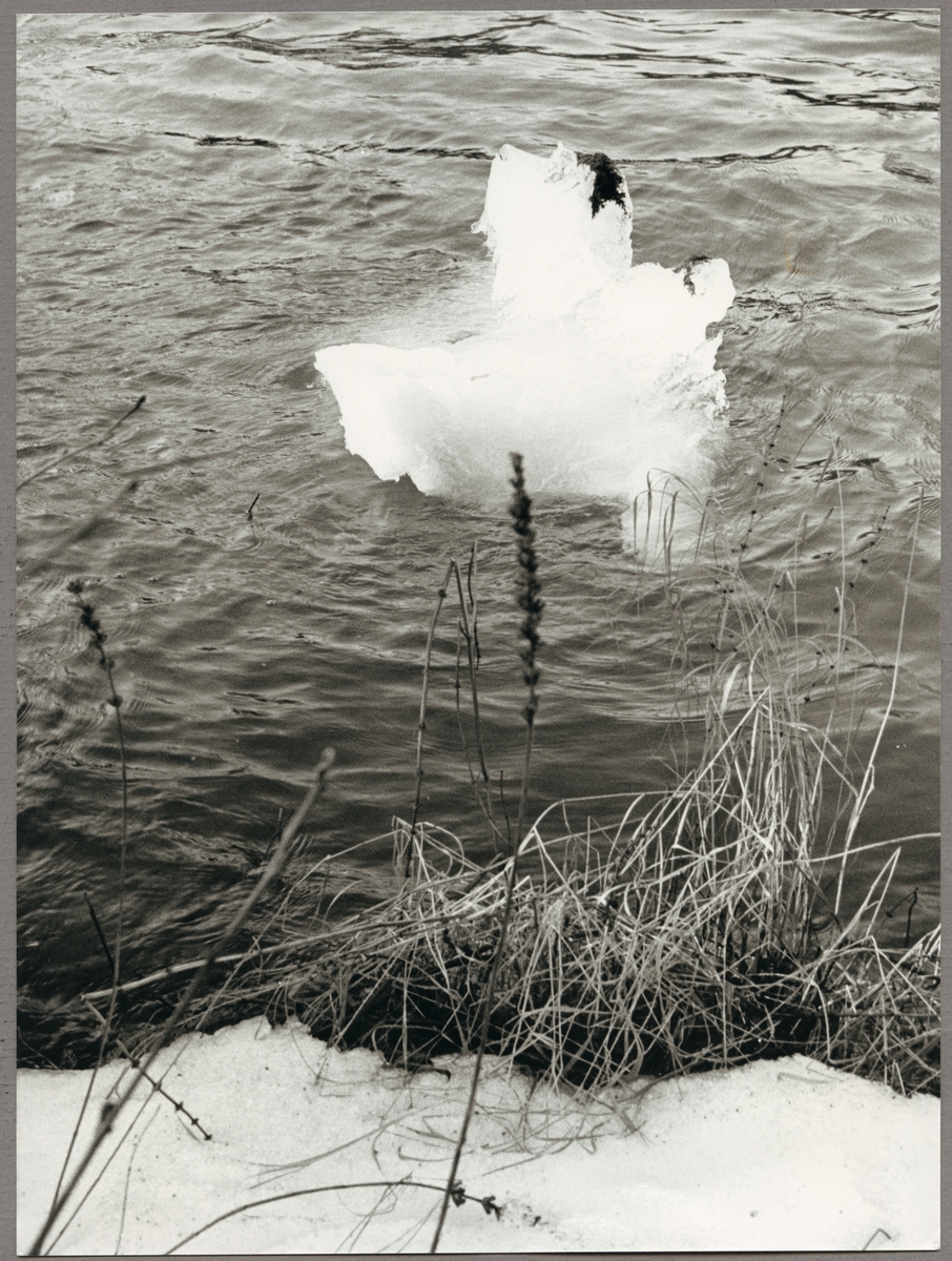 Naturmotiv från forsen vid Skjulstabron i Eskilstuna vintern 1987.