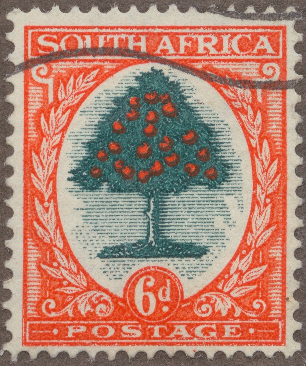Frimärke ur Gösta Bodmans filatelistiska motivsamling, påbörjad 1950.
Frimärke från Sydafrika 1926. Motiv av fruktbärande apelsinträd.