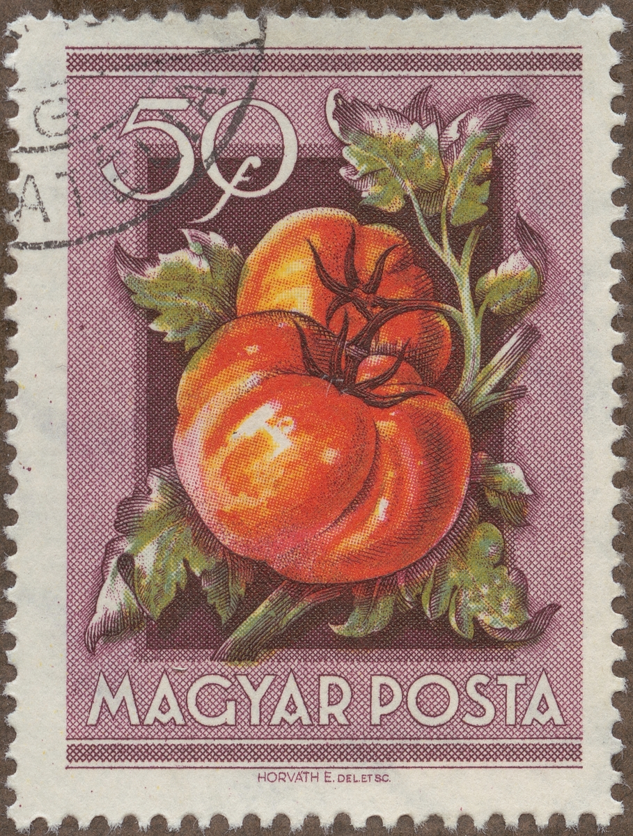 Frimärke ur Gösta Bodmans filatelistiska motivsamling, påbörjad 1950.
Frimärke från Ungern, 1954. Motiv av kvist med tomater.