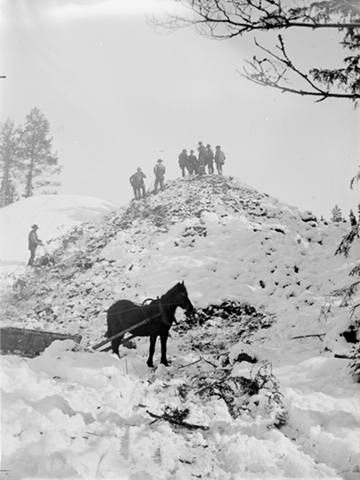 Män och häst i skog, Riddarhyttan.