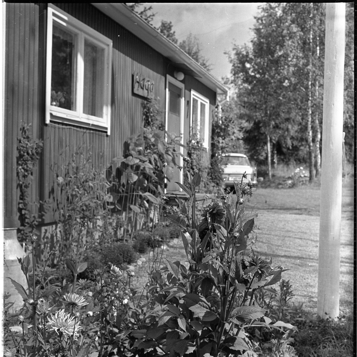 ett-hus-med-skylt-haga-troligen-en-sommarstuga-till-h-ger-skymtar