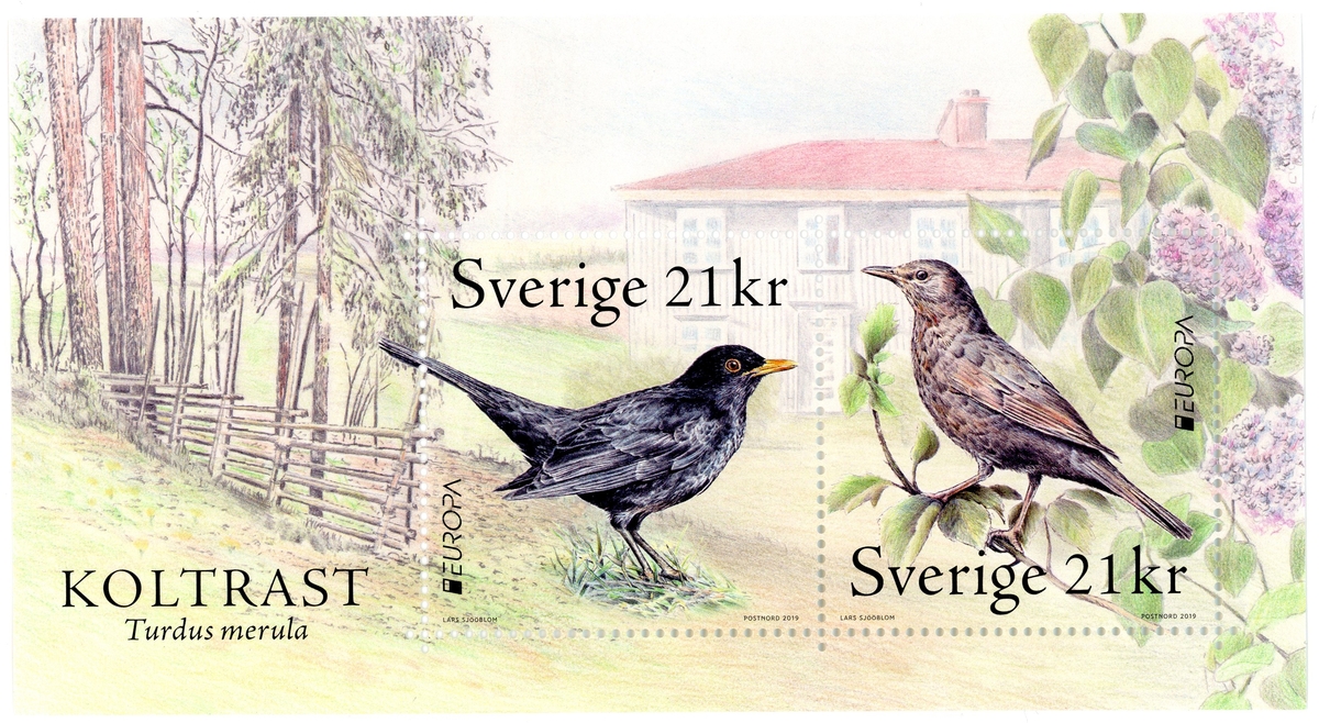 Frimärken i miniark med två frimärken med två olika motiv av koltrastar. Valör 21 kr.