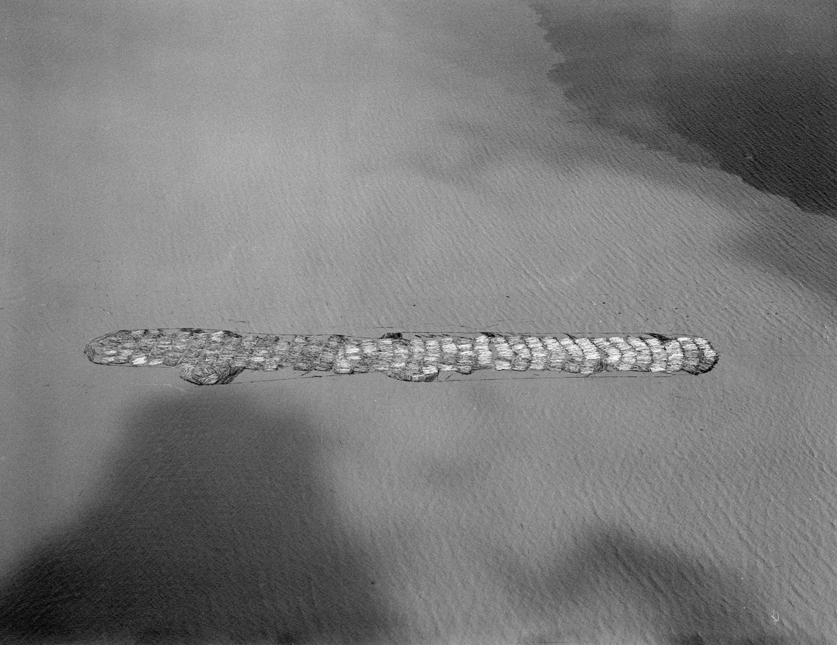Tømmerslep over innsjøen Øyeren sommeren 1985.  Tømmer fra Østerdalen og Solør, Gudbrandsdalen, Mjøstraktene og bygdene på Øvre Romerike ble fløtet løst ned til Fetsund lenser i nordenden av denne innsjøen.  Her ble virket fra gammelt av sortert og «soppet» eller «moset» (buntet), og det som skulle til Lillestrøm, Strømmen og Oslo ble skilt fra det som skulle videre nedover vassdraget.  Da dette fotografiet ble tatt var det bare storbedriften Borregaard fabrikker i Sarpsborg som fortsatt fløtet, så noe særlig sortering var det ikke snakk om lenger.  Tømmeret ble moset i høvelige bunter med hver sin «grime» (vaierbindsel).  Inntil 200 av disse mosene ble bundet sammen i et slep som ble buksert forsiktig ned gjennom en meandrerende djupål i det grunne deltapartiet lengst nord i innsjøen.  Når et slikt slep kom fram til Sofiedal på innsjøens vestside, like ved grensa mellom Rælingen og Enebakk kommuner, ble slepet ankret opp og slepebåten Mørkfos gikk tilbake til Fetsund for å hente nok et slep av samme type.  Når også dette var framme ved Sofiedal ble de to slepene koplet sammen, slik at Mørkfos kunne trekke begge to sørover med ei lang trosse.  I noen tilfeller ble det også hektet på bommer med løstømmer fra «etterrensken» langs sjøen.  Slepet kom gjerne fram til Sleppetangen, ved nedre Glommas utløp fra Øyeren, seint på kvelden.  Da ble slepet oppankret mot land, slik at lokale fløtere påfølgende dag kunne løsne vaierbindslene og la tømmeret flyte løst nedover mot tømmerrennene forbi kraftverksdammene nedover i vassdraget.  Mørkfos gikk nordover mot Fetsund igjen om natta, slik at båten kunne fortsette slepearabeidet derfra neste morgen.  Dette flyfotografiet er tatt etter at to slep var koplet sammen til ett, altså nedenfor Sofiedal, idet det slepes sørover Øyeren.  Opptaket ble gjort i 1985, det siste året det foregikk kommersiell tømmerfløting i dette vassdraget.