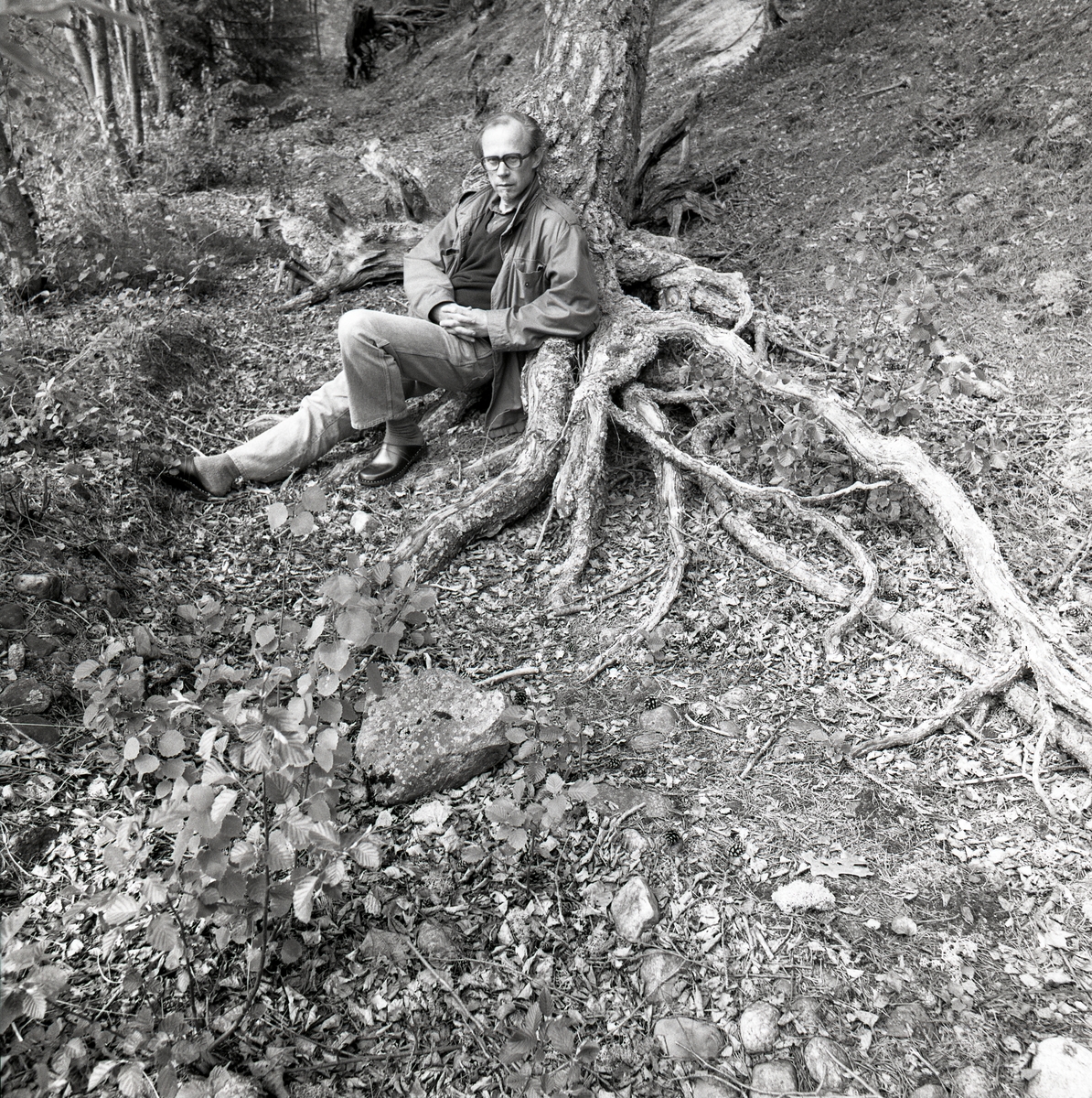 Mannen sitter ner lutandes mot trädstammen som har sina ringlande rötter, mannen bär glasögon och har träskor. På marken finns det jord, gräs, stenar, buskage och träd. Törn 1990.