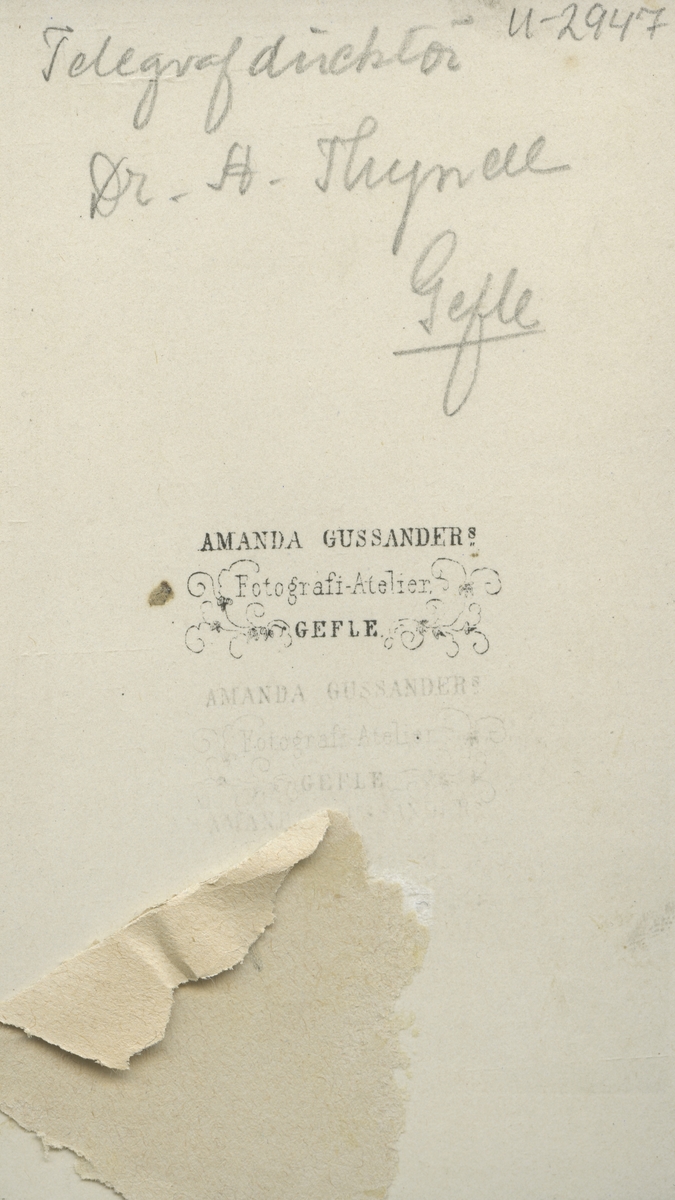Telegrafdirektör och Fil. Doktor Anders Tynell 1826-1904