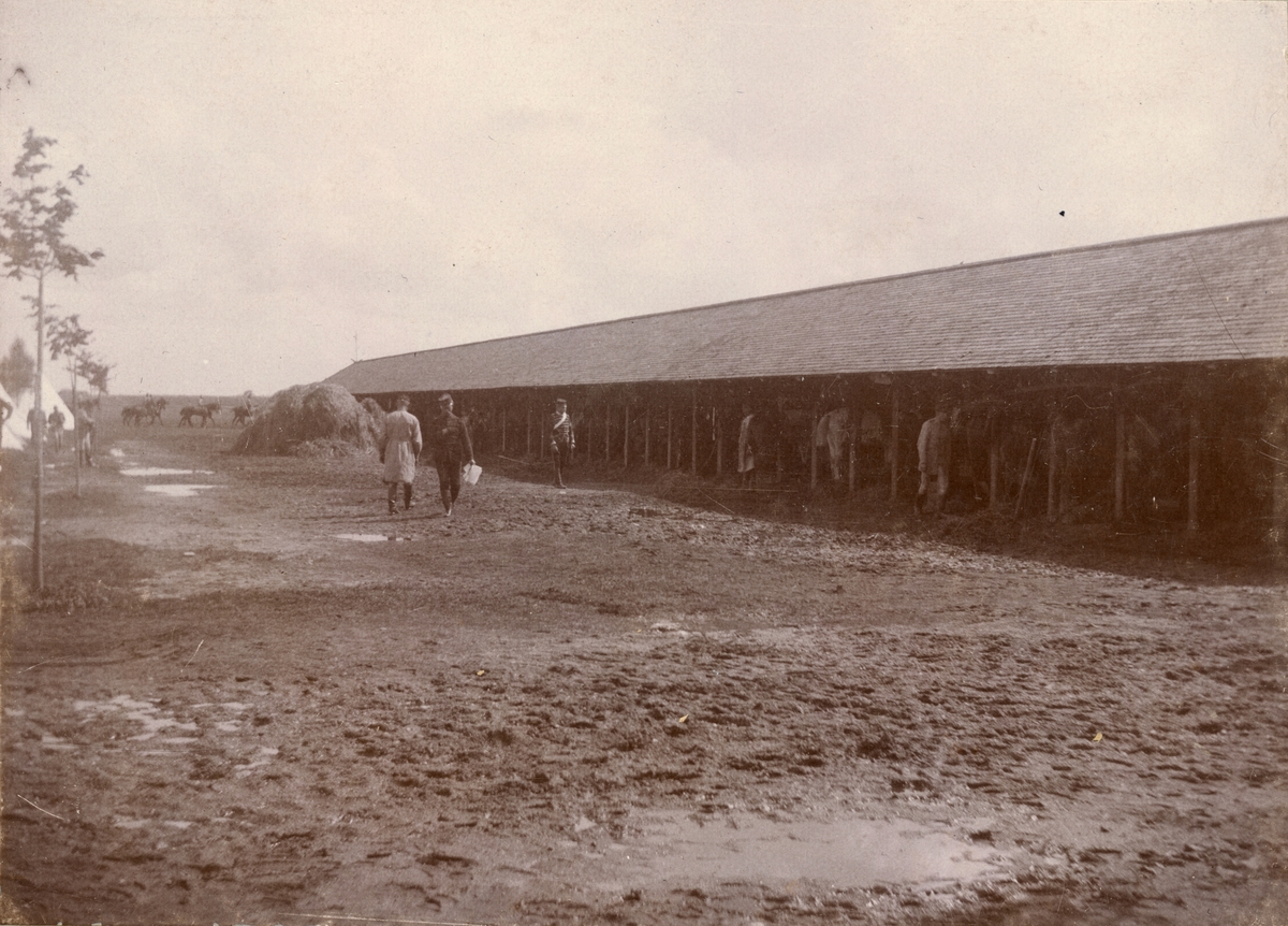 Soldater från Livregementets husarkår vid stall.
