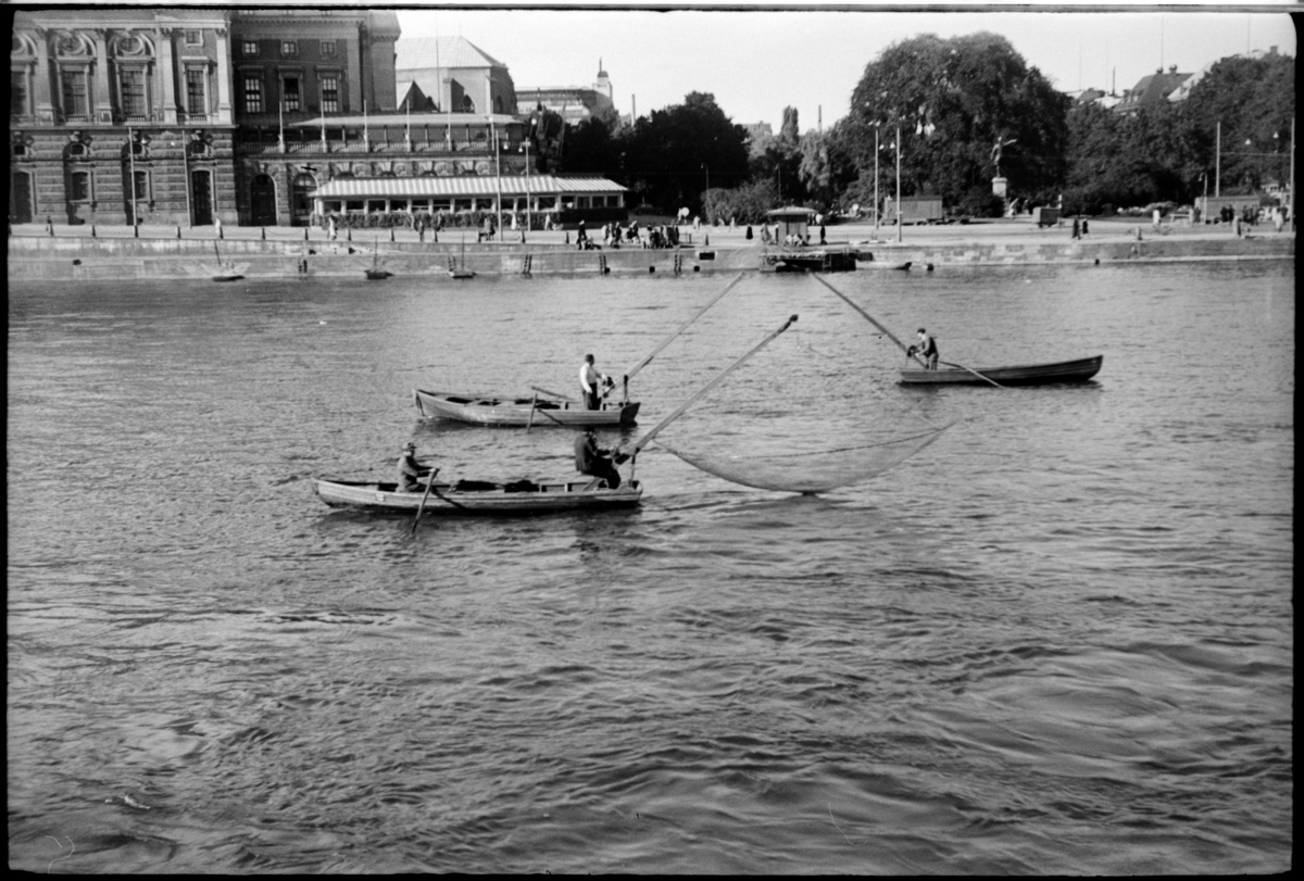 Tre håvbåtar med håvfiskare i Stockholm ström. Vid kajkanten ses Operan och Kungsträdgården.