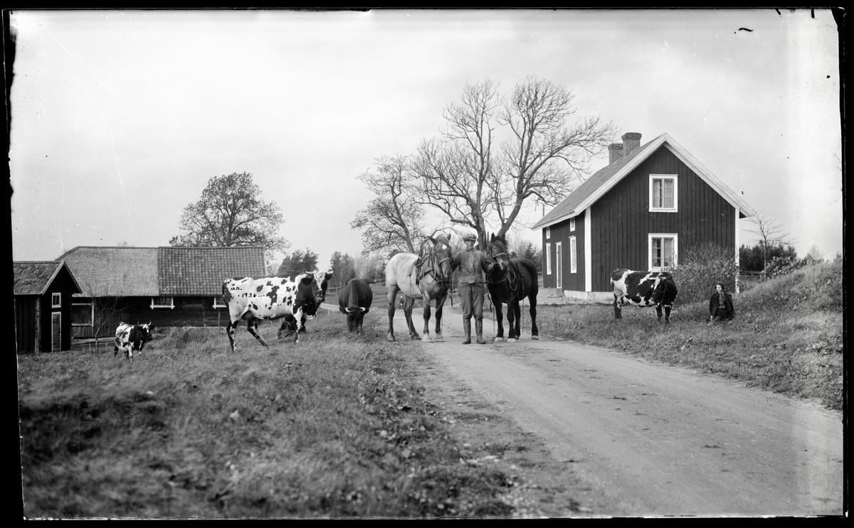 Gårdsfolk med hästar och kor