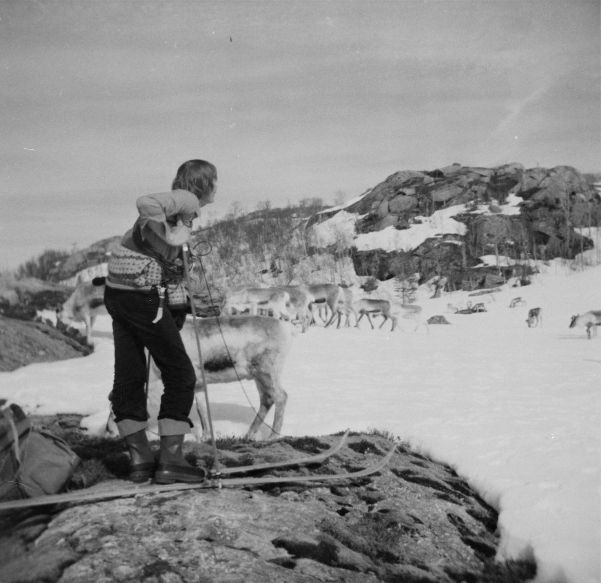 Ole Martin Renberg(f.1952).Vårflytting i Vistenfjorden.
