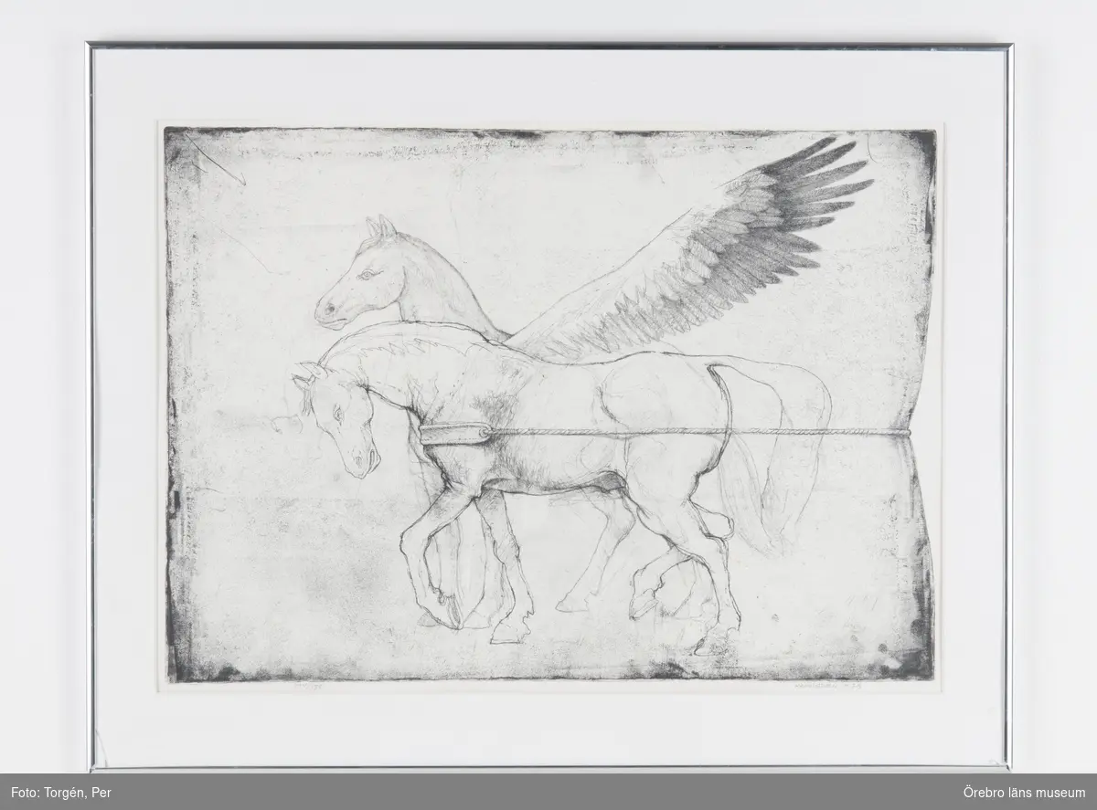 Häst och pegas [litografi]