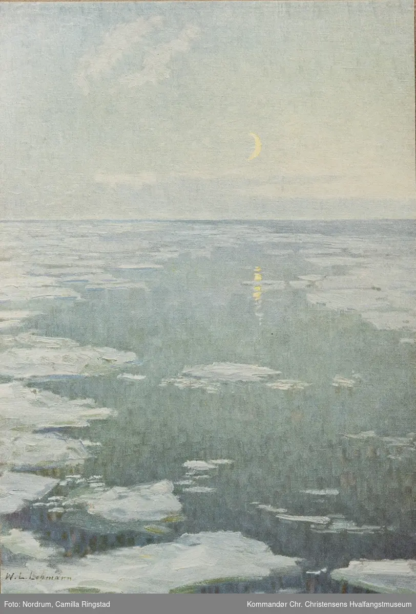 Roald Amundsens sydpolsekspedisjon. Rosshavet i måneskinn. 