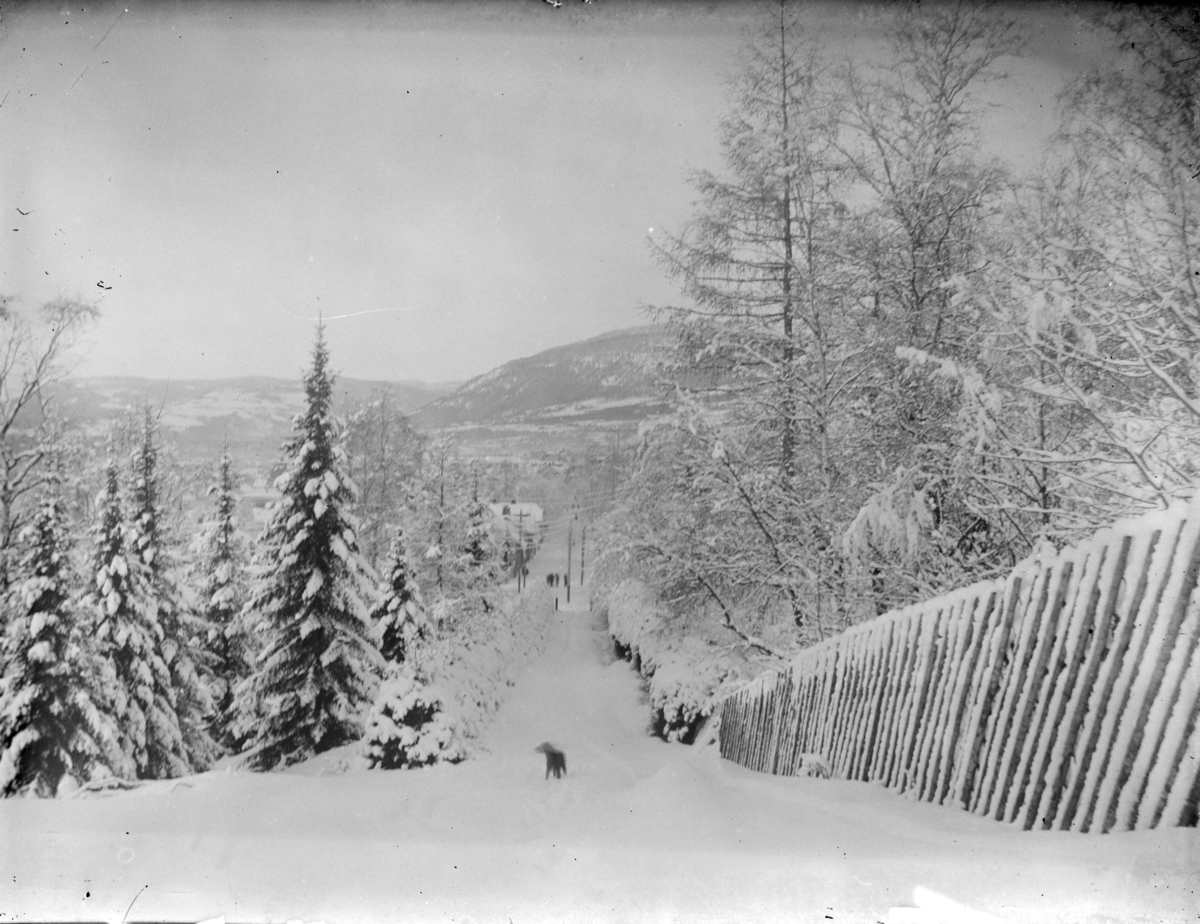 Vinterbilde fra Utsiktsbakken med Balbergkampen i bakgrunnen