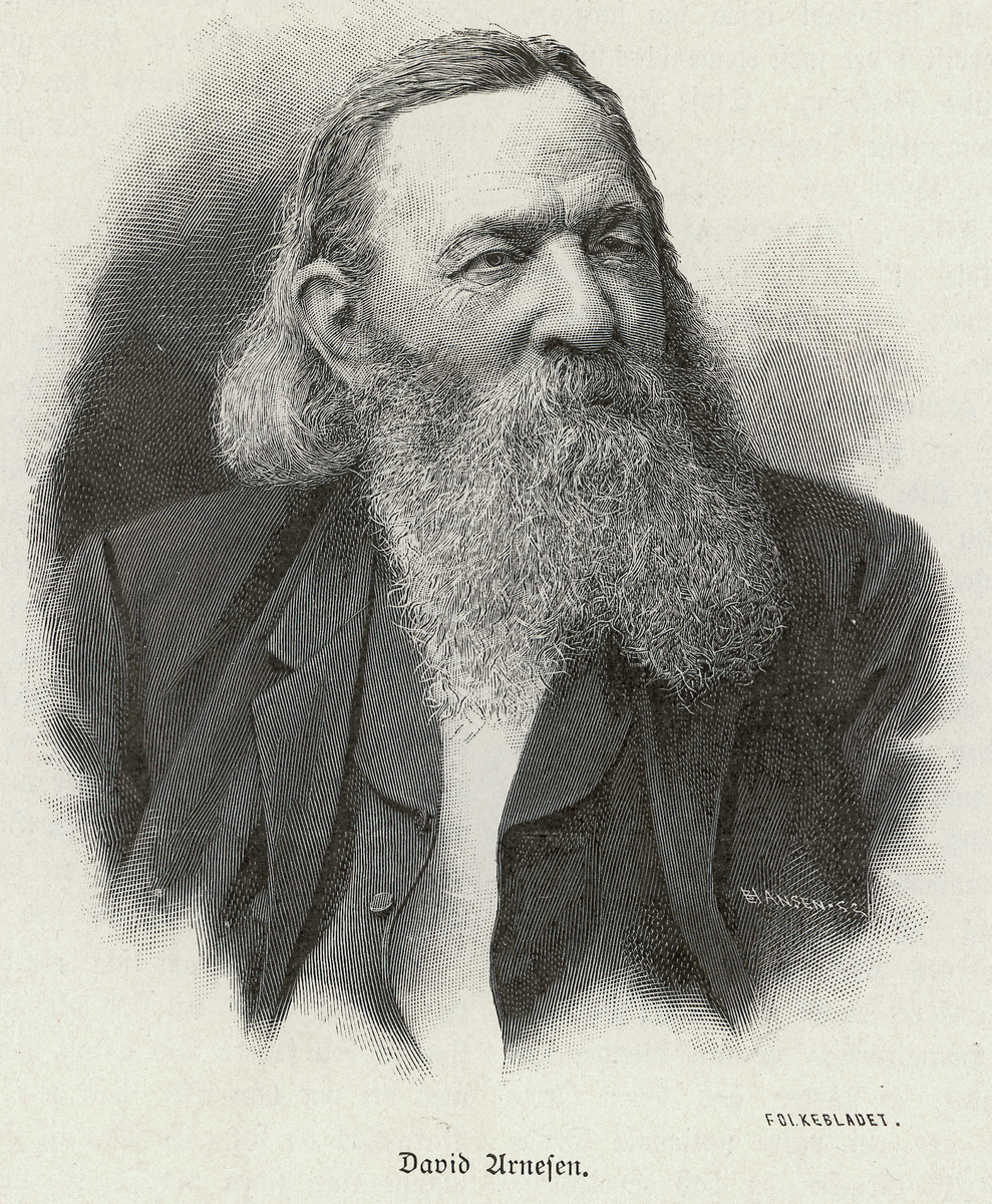Arnesen, David (1818 - 1895)