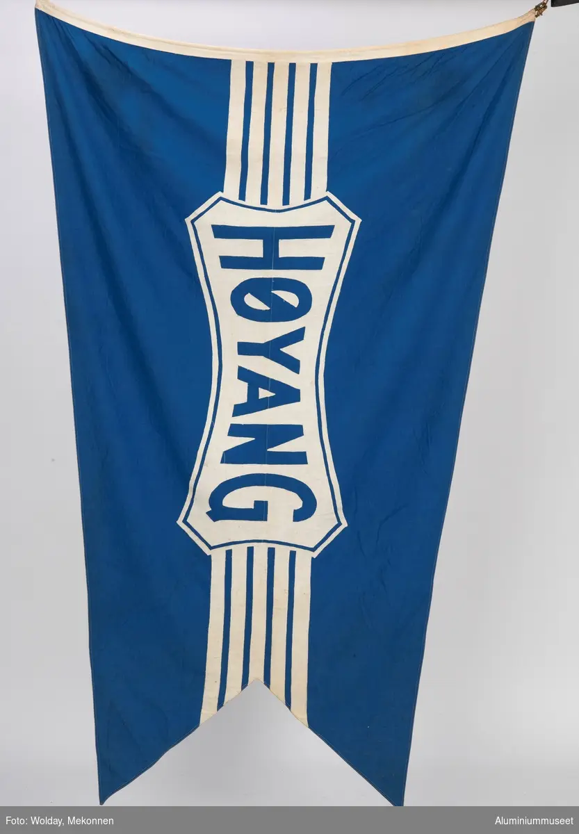 Blått flagg montert på sølvmalt rundstokk, avsluttet med svartmalt "pilspiss" i tre. Flagget med Høyanglogo i hvitt.