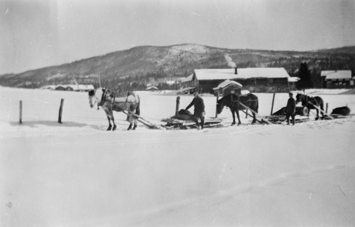 Hestefølge - på tur til Bjørntangen i Magnilldalen for å kjøre mose ...