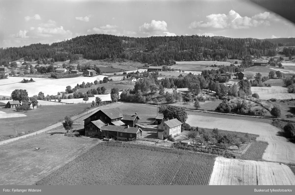 Haug
Hval
1955