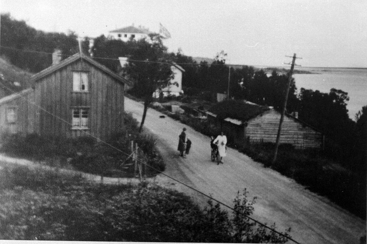 Folk på Trondenesvegen, hus langs vegen og folkehøgskolen i bakgrunnen.