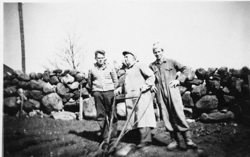 Hypping med "koneplagar". F. v. : Jomar (1941 - ), faren Jon Haugland (1905 - ) og drengen Olav Fosse.