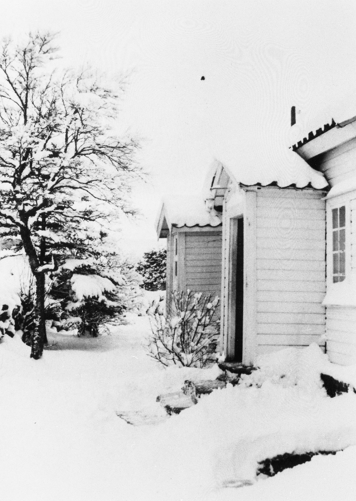 Frå austsida av heimehuset på Frøyland gnr. 28, bnr. 70. Huset er bygd ca 1848 og påbyggd i 1870.