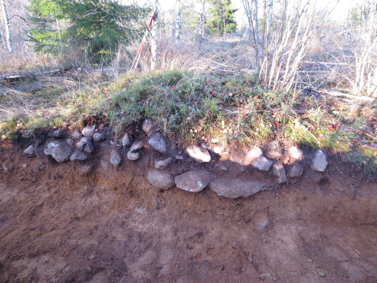Röjningsröse A243, undersökt under förundersökning av fossil åker L1970:3194 i Nykyrka Ruder, Mullsjö kommun.