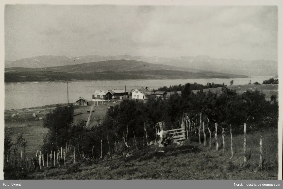 Neset gård på Møsstrond. Utsikt mot låve, våningshus og innsjøen Møsvatn