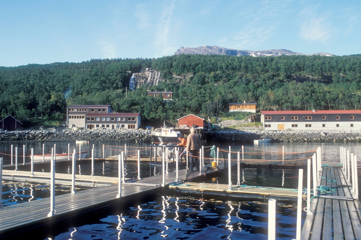 Dette er forskningsstasjonen Forsheim i Skjomen utenfor Narvik. Ute på sjøen ligger merdene med fisken. På land har de forskjellige bygninger. Båten inne ved kaia er den lille ferga "Skjompilten". Den ble brukt til å frakte folk og utstyr til det veiløse stedet. Bildet er tatt i 1981. Merdene ble senere flyttet inntill kaibygget.