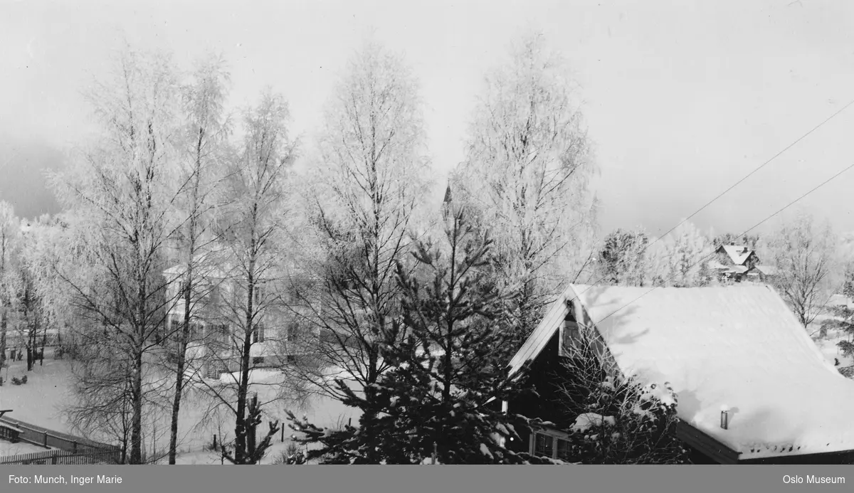 utsikt, bolighus, trær, snø