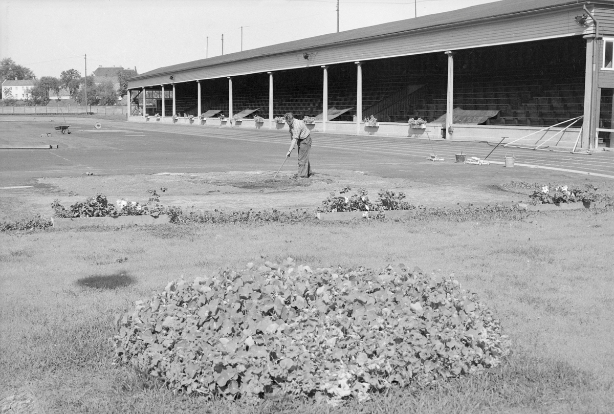Forberedelser på Stadion til NM i Friidrett 14. 15. og 16. august 1953