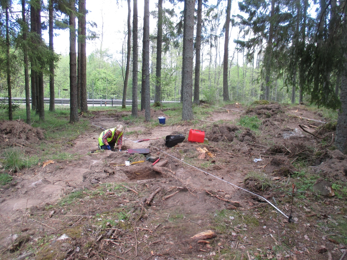Arkeolog Anna Ödeén  gräver provrutor inom stenåldersboplatsen.