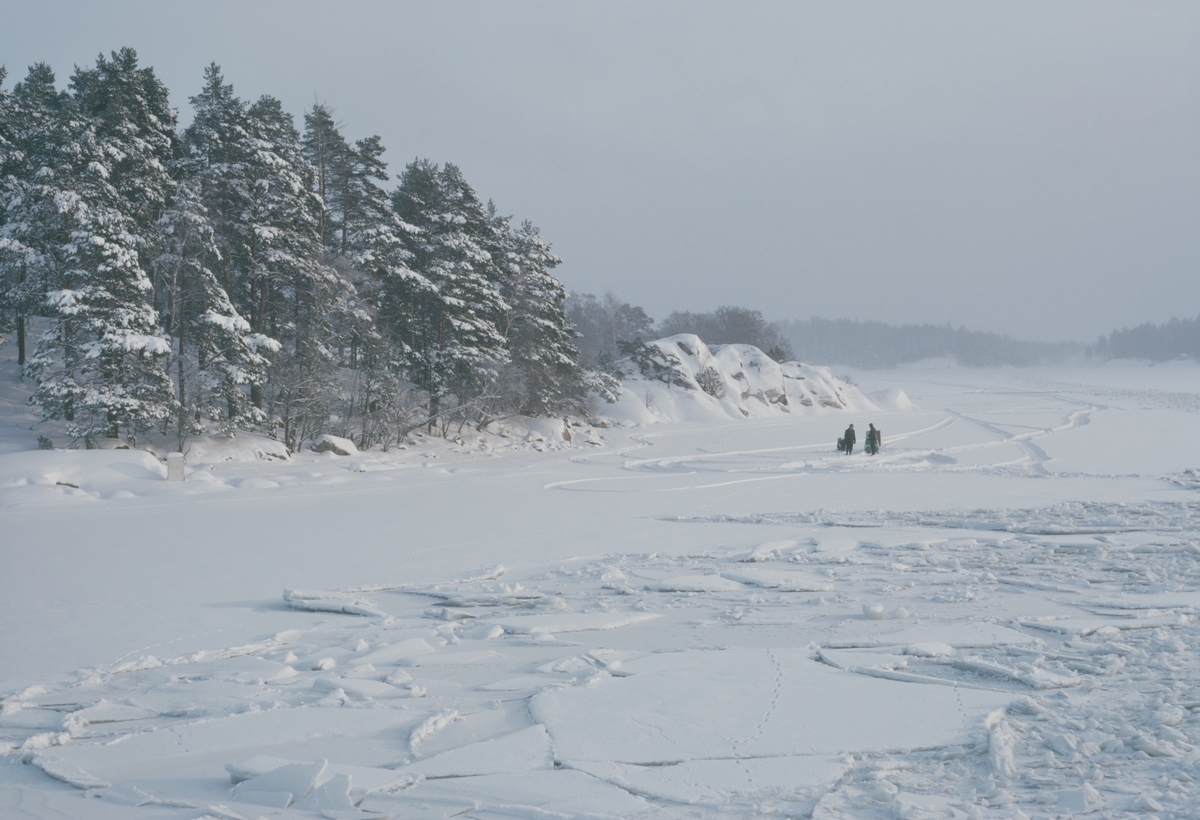 En av Waxholmsbolagets skärgårdsbåtar passerar en skoter samt motorcykelåkare ute på isen.