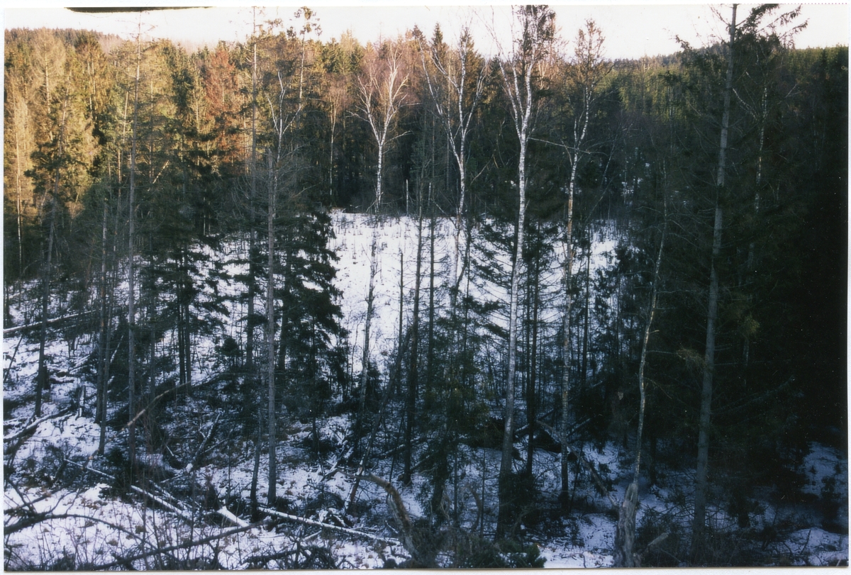 Övraby sn.
Käringsjö mosse.
Västra delen av mossen från sydväst.