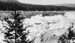 «Glomma. Isgangen ved Bjørånesset 1928»