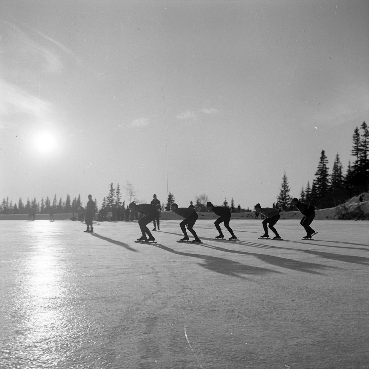 Vintersport i Bymarka