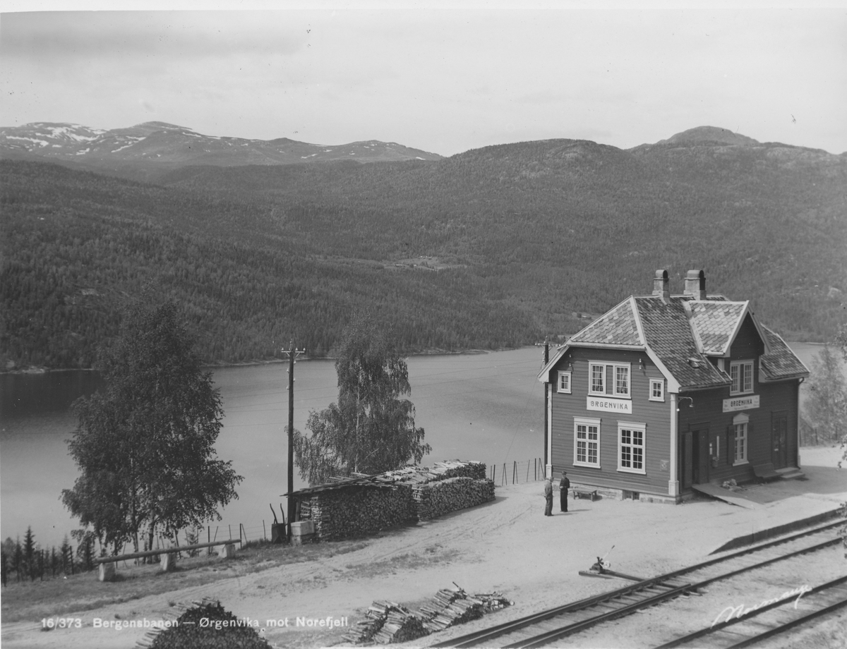Ørgenvika stasjon på Bergensbanen