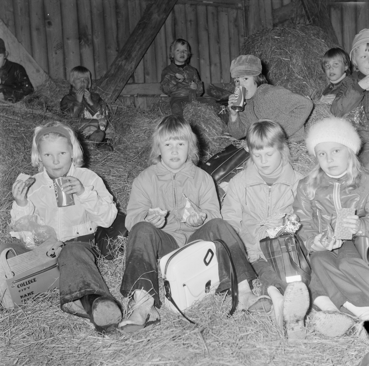 Elever på höskulle, Söderfors, Uppland, juni 1972
