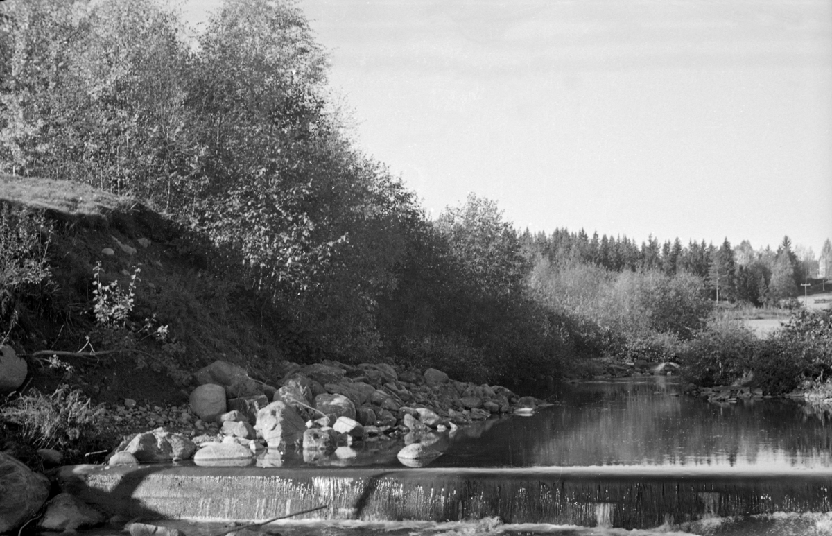 Terskeldam i Løsetåa i Nord-Odal, fotografert sommeren 1954, da det var lite vann i elvefaret. Fotografiet skal være tatt under Brattfossen, nederst i dette vassdraget, like før Løsetåa forenes med Mørkåa, for å bli Kilåa, som etter cirka 500 meter renner ut i innsjøen Råsån eller Råsen. Poenget med denne dammen var antakelig å heve vannpeilet for å skape litt større dybde for tømmerfløtinga i det ovenforliggende elveløpet.