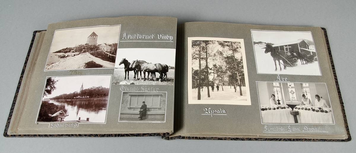 Fotoalbum med brunorangeflammiga pärmar i papp. Hopsatt med svart, tvinnad snodd. Innehåller 22 sidor samt ett löst ilagt blad.