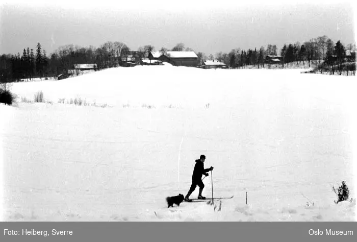 kulturlandskap, snø, mann, skitur, hund, gård